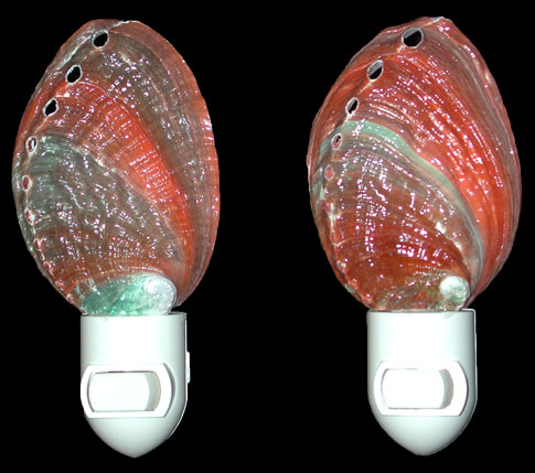 Austrailia Abalone Nite Lite  8/17/13