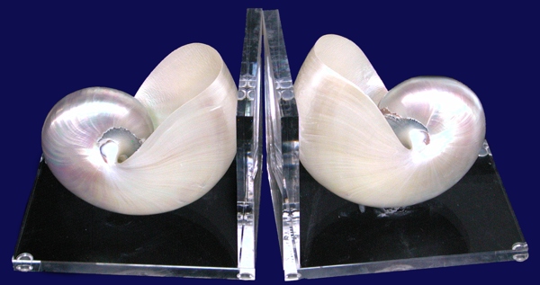 Pearl Acrylic Book Ends