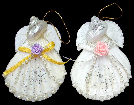 Pectin Shell Angel D1-40    9/27/13