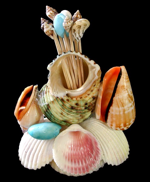 Scallop Shell with Toothpicks
