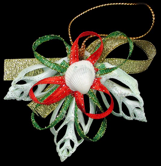 Shell Ornament 40  MM1-40  out