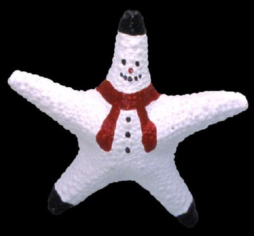 Starfish Snowman  I1-38,C1-38   9/27/13