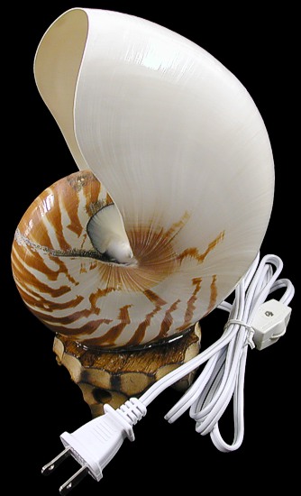 Tiger Nautilus Lamp