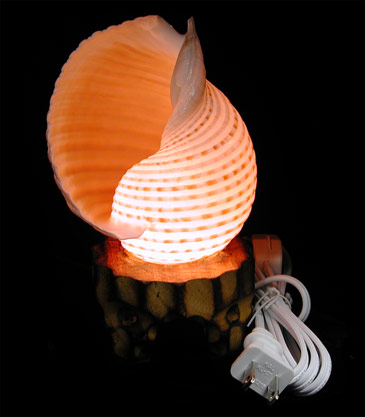 Tonna Selacosa Lamp