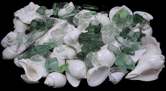 Small Aqua Light Aqua Sea Glass Frosty Seaglass Ocean Tumbled Beach Gl –  Florida Shells And More