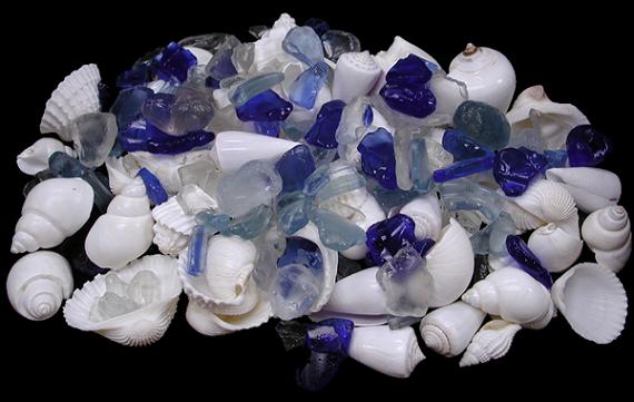 White Shells Blue Mix