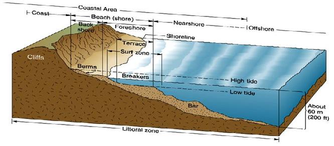 Littoral Zones