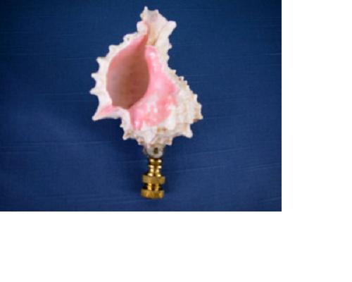 Large Pink Murex Finial