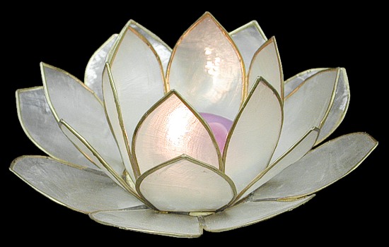 Natural Lotus Candle Holder