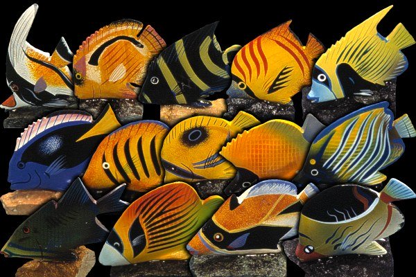 Tropical Fish 4