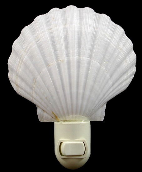 White Scallop Nitelite